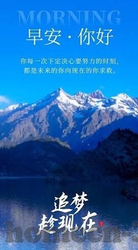 24小时抢庄斗牛牛棋牌-24小时抢庄斗牛牛棋牌，娱乐与策略并重的数字时代新宠