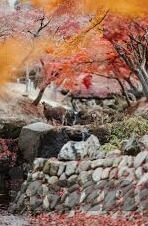 久久澳门赌场-澳门赌场，历史、文化、法律与影响